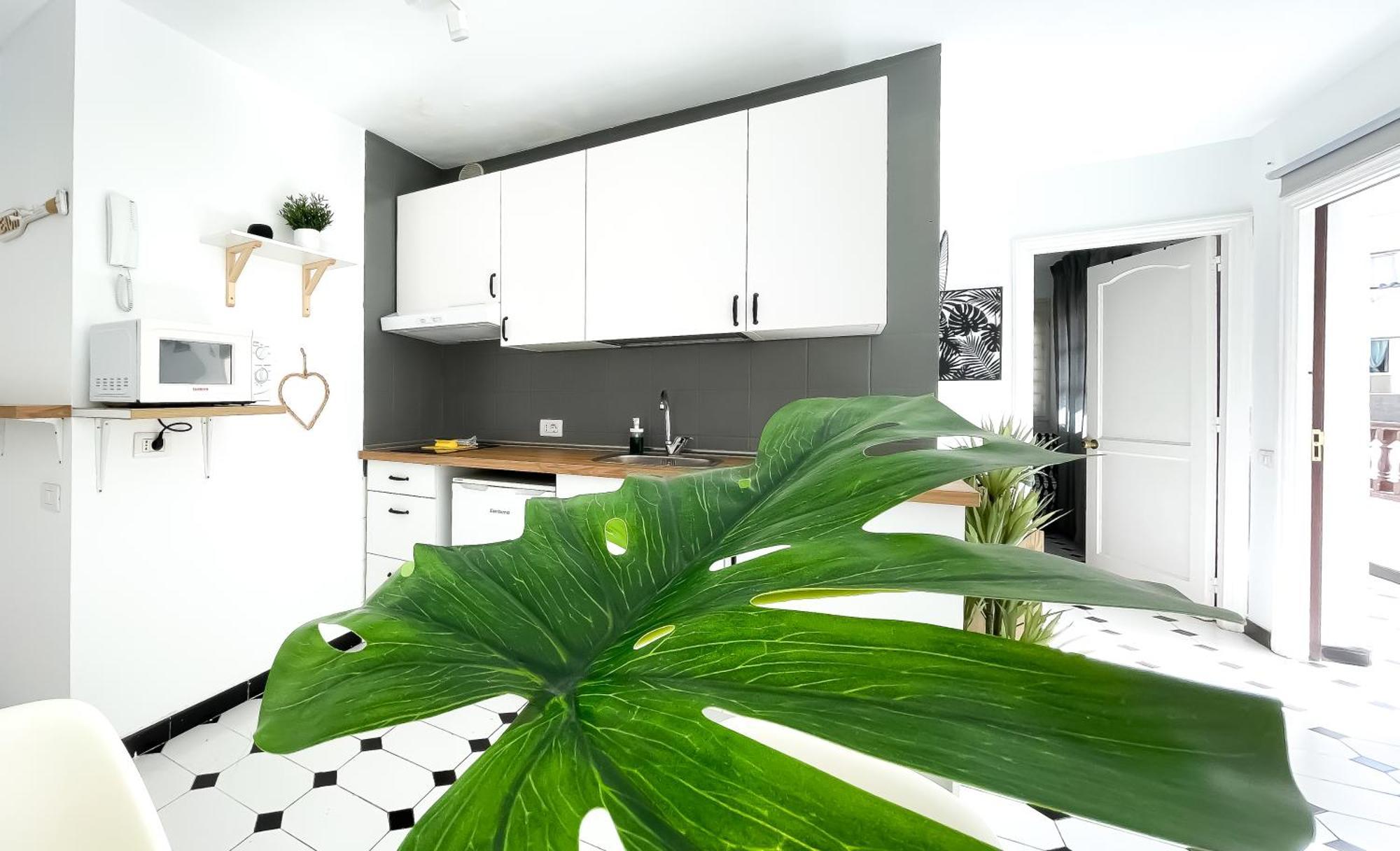 Central House Apartment Corralejo